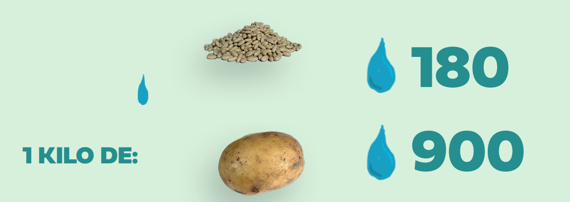 GUÍA PARA PREVENIR Y REDUCIR LA PÉRDIDA DE FRUTAS Y HORTALIZAS.    
PARTE 1