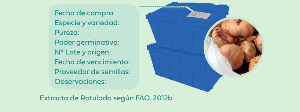 GUÍA PARA PREVENIR Y REDUCIR LA PÉRDIDA DE FRUTAS Y HORTALIZAS.     PARTE 2