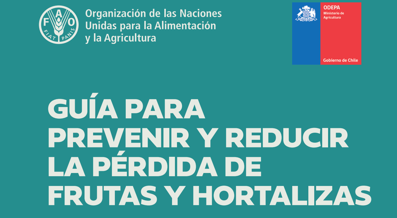 GUÍA PARA PREVENIR Y REDUCIR LA PÉRDIDA DE FRUTAS Y HORTALIZAS.     PARTE 2
