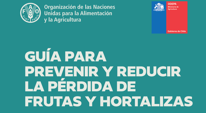 GUÍA PARA PREVENIR Y REDUCIR LA PÉRDIDA DE FRUTAS Y HORTALIZAS.     PARTE 2